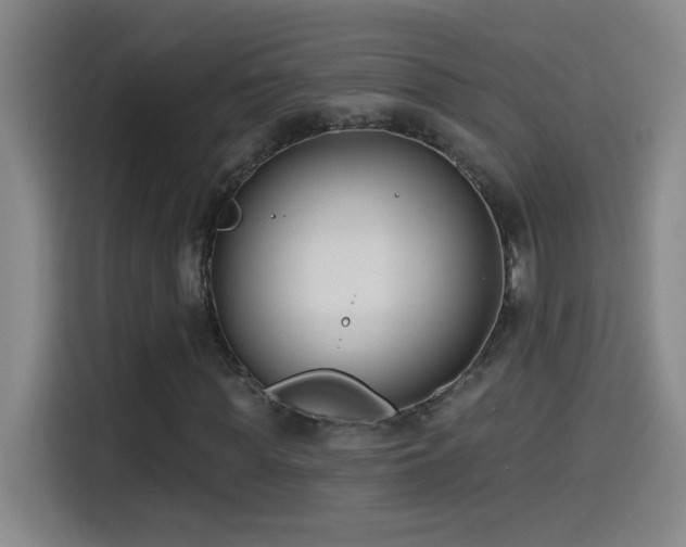 X0000114440819200910161353
