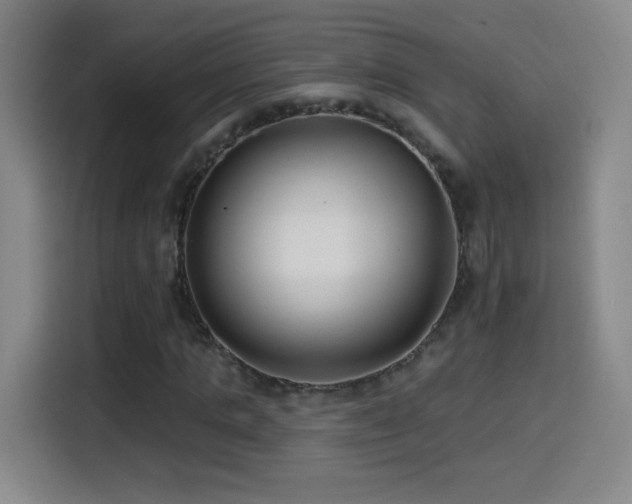 X0000114440821200910161353