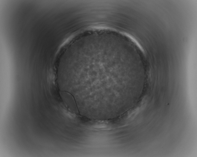 X0000114440823200910161353