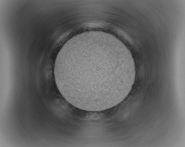 X0000114440824200910161353