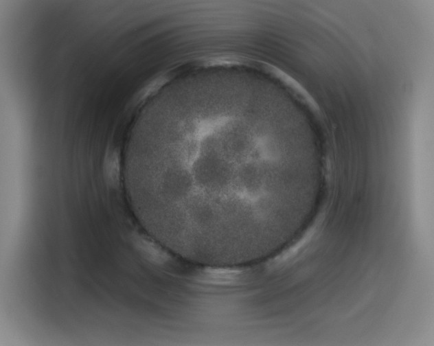 X0000114440825200910161353