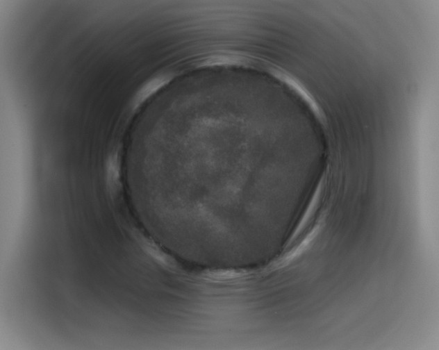 X0000114440826200910161353