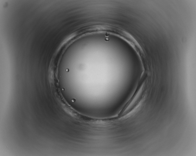 X0000114440827200910161353