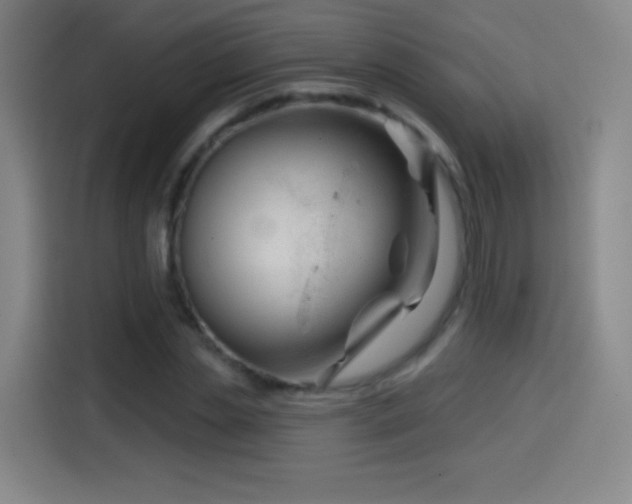 X0000114440829200910161353