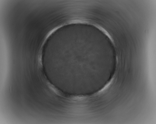 X0000114440830200910161353