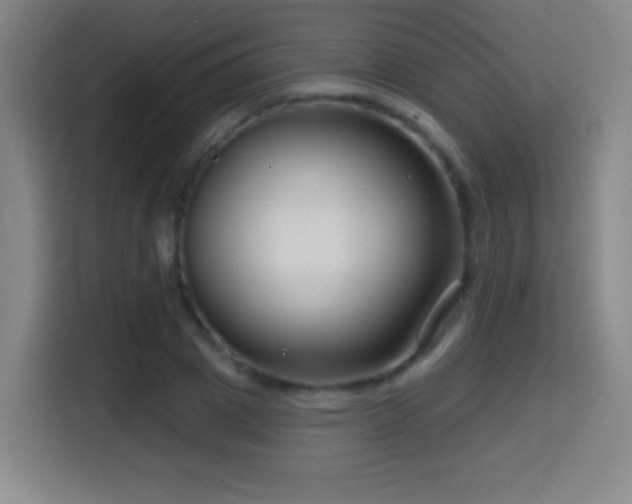 X0000114440833200910161353