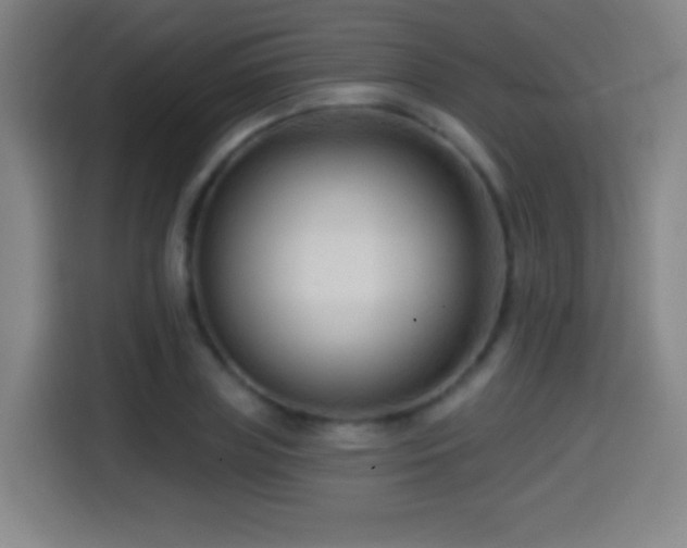 X0000114440835200910161353