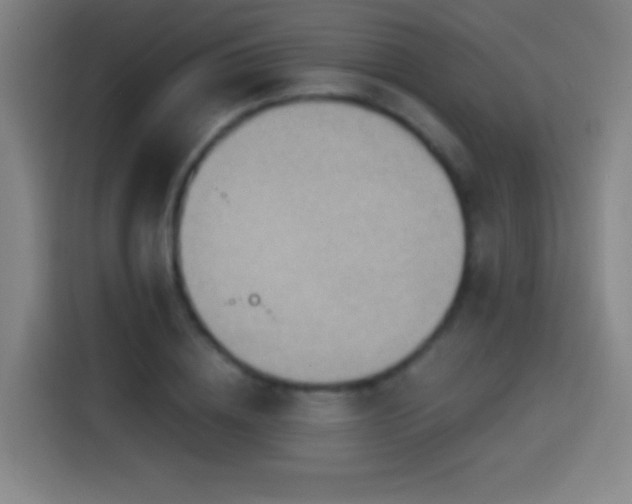 X0000114440836200910161353