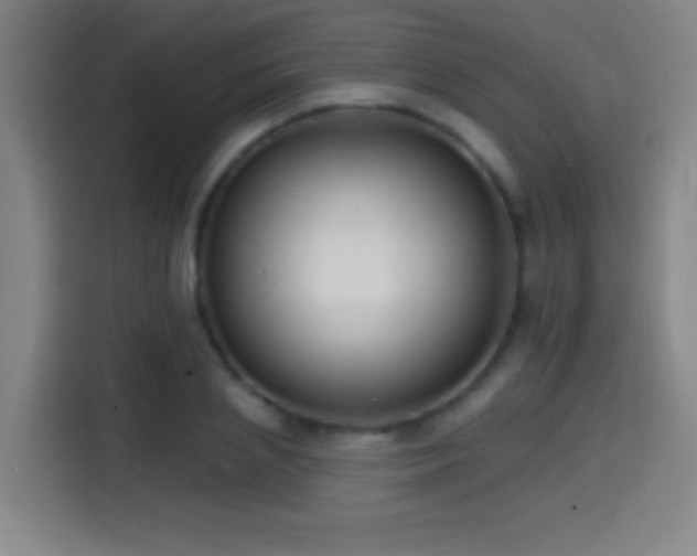 X0000114440837200910161353
