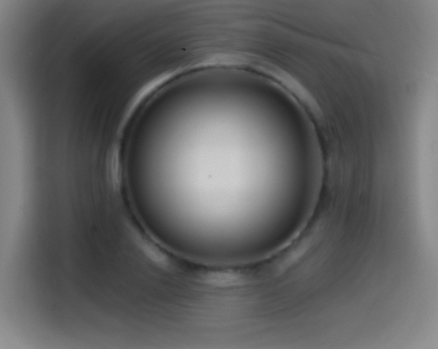 X0000114440838200910161353