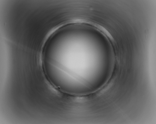 X0000114440839200910161353
