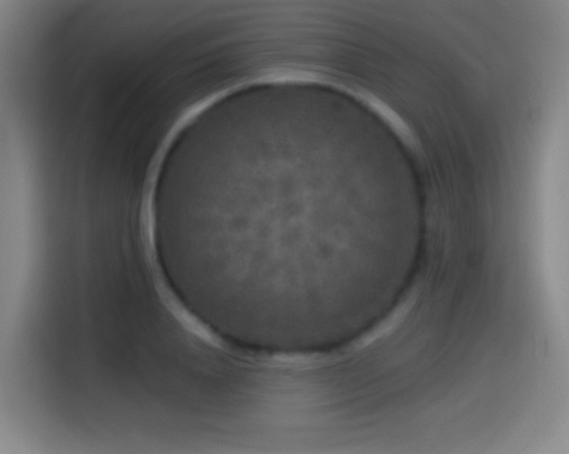 X0000114440840200910161353