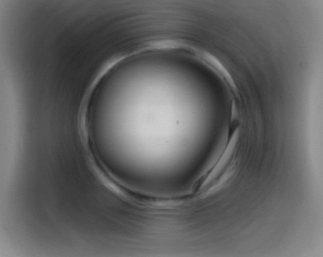 X0000114440843200910161353
