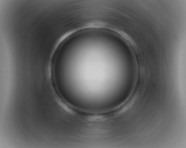 X0000114440846200910161353