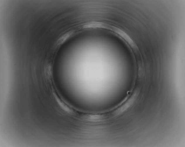 X0000114440849200910161354