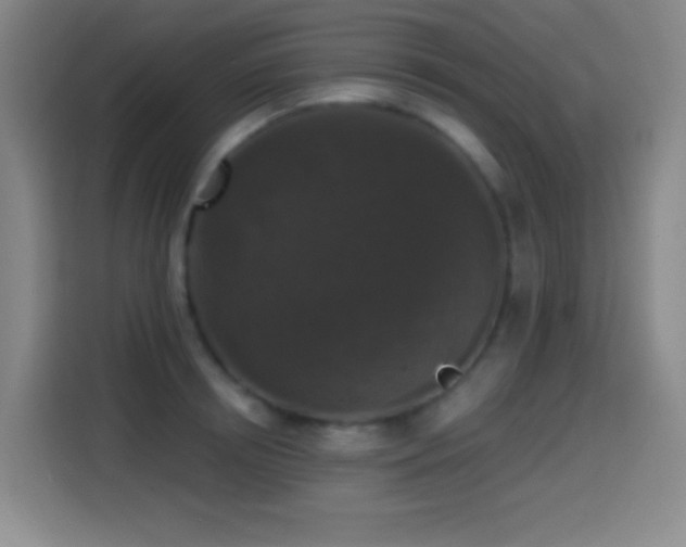 X0000114440850200910161354