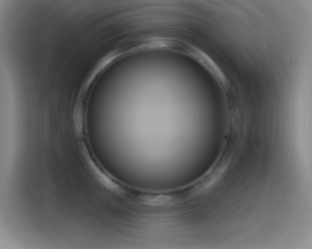 X0000114440851200910161354