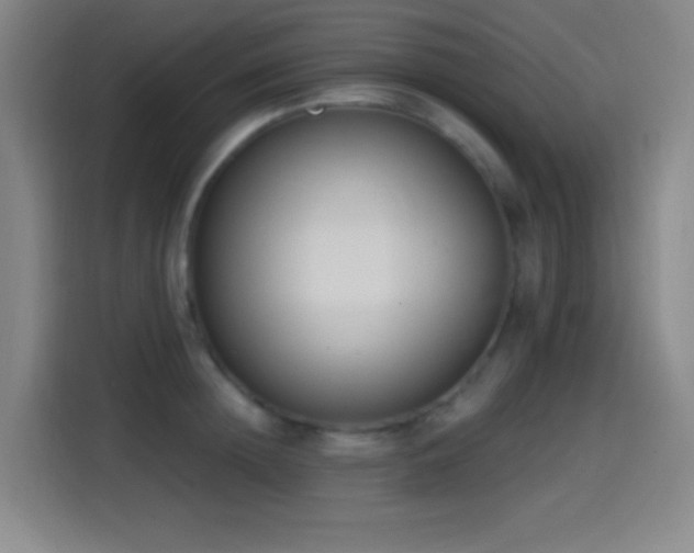 X0000114440852200910161354