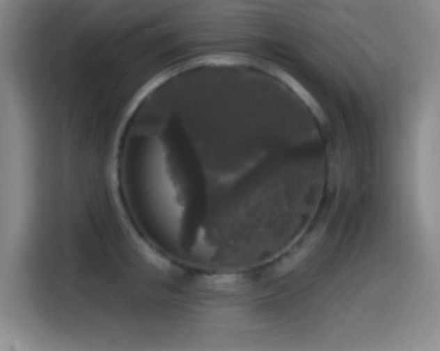 X0000114440853200910161354