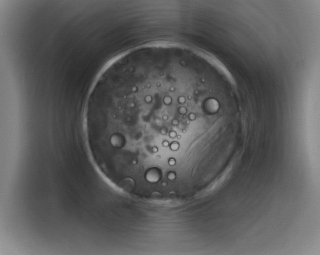 X0000114440855200910161354