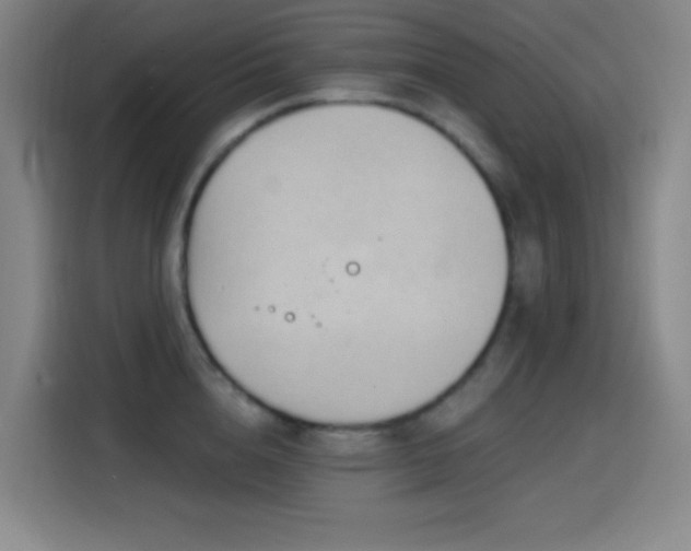 X0000114440856200910161354