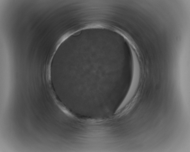 X0000114440858200910161354