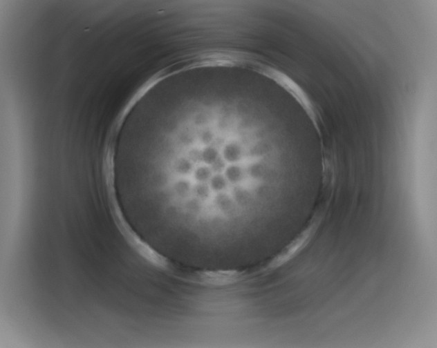 X0000114440859200910161354