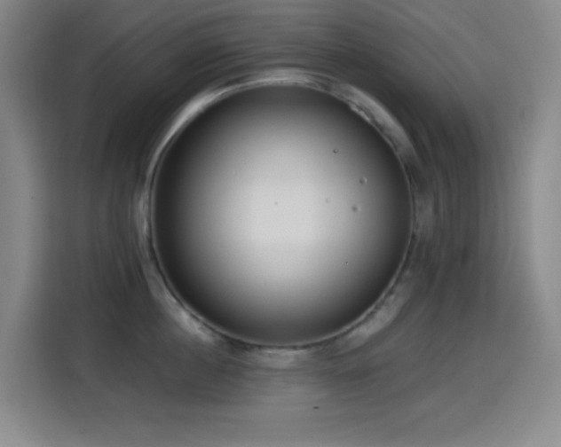 X0000114440860200910161354