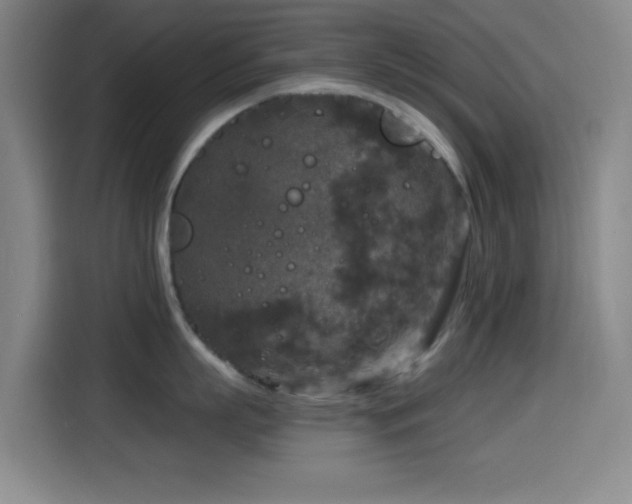 X0000114440863200910161354