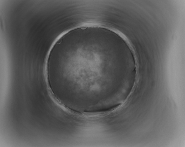 X0000114440864200910161354