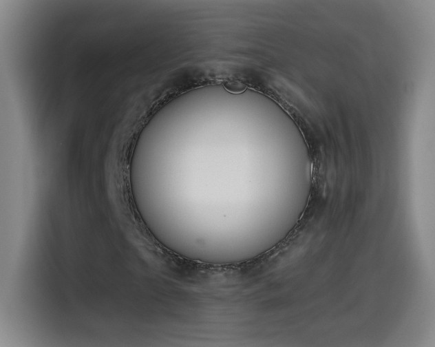 X0000114440865200910161353