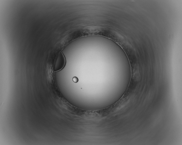 X0000114440866200910161353