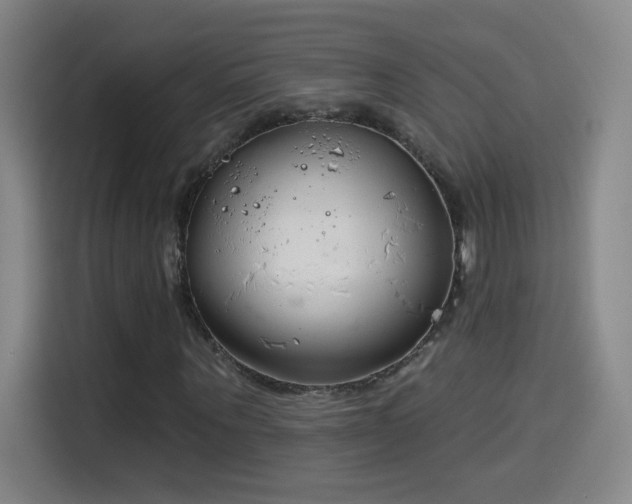 X0000114440867200910161353