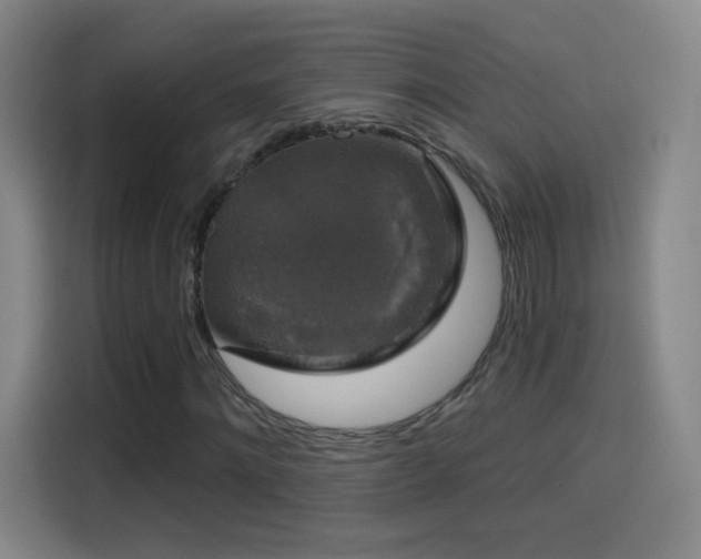 X0000114440868200910161353