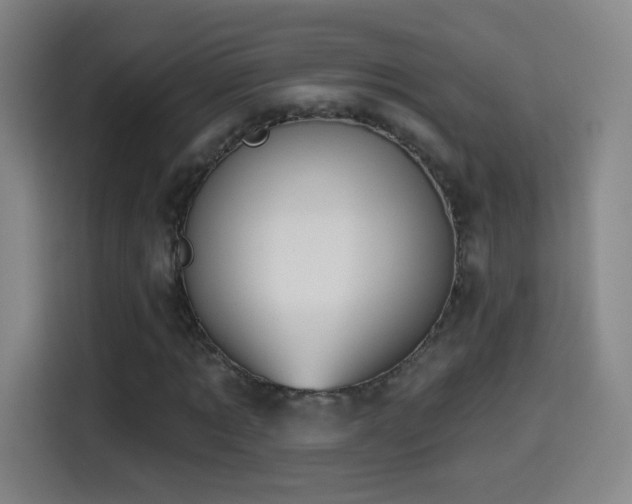 X0000114440869200910161353