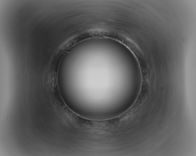 X0000114440870200910161353