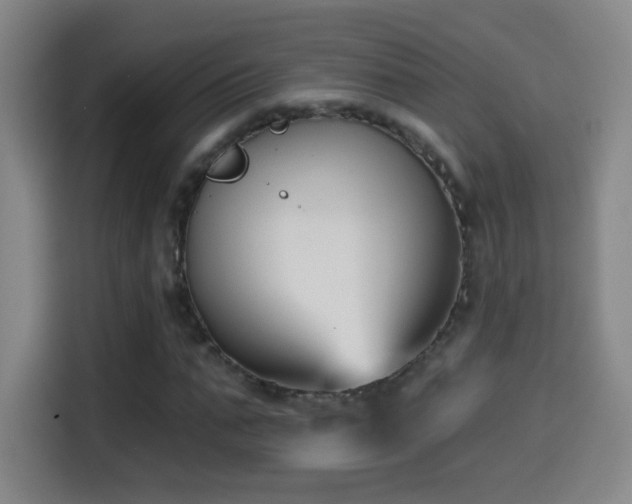 X0000114440871200910161353