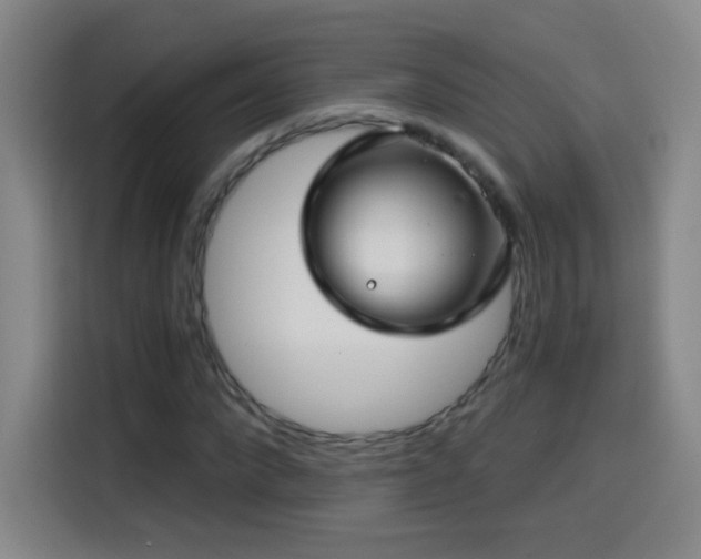X0000114440872200910161353