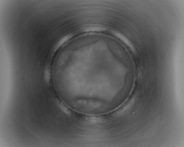 X0000114440874200910161353