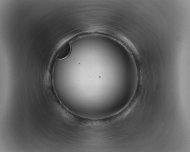 X0000114440876200910161353