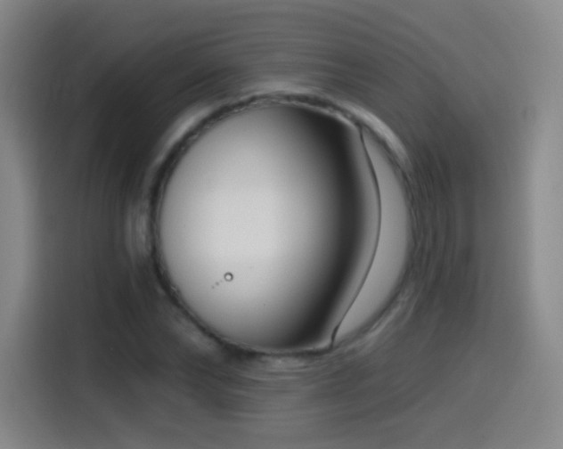 X0000114440878200910161353