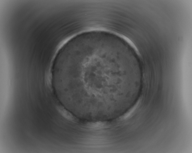 X0000114440879200910161353