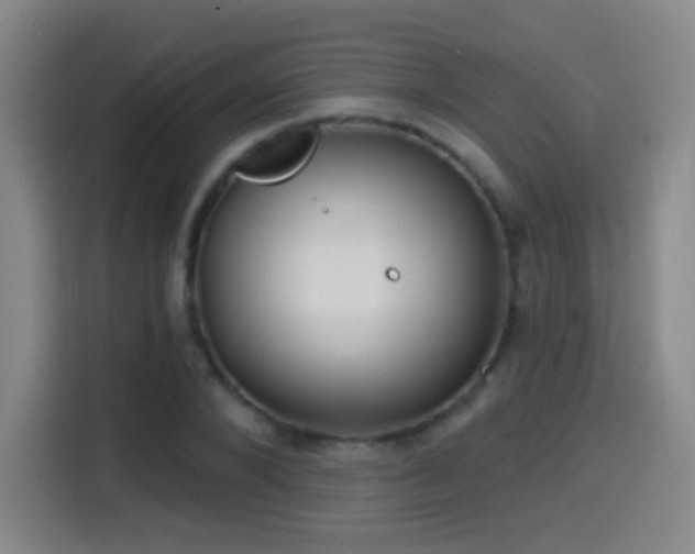X0000114440880200910161353