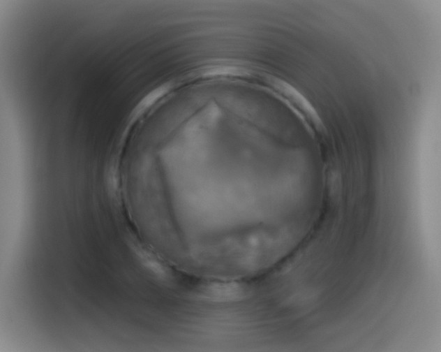 X0000114440882200910161353
