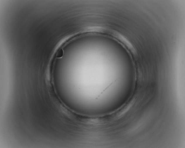 X0000114440883200910161353