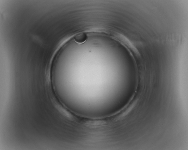X0000114440884200910161353