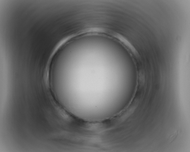 X0000114440886200910161353
