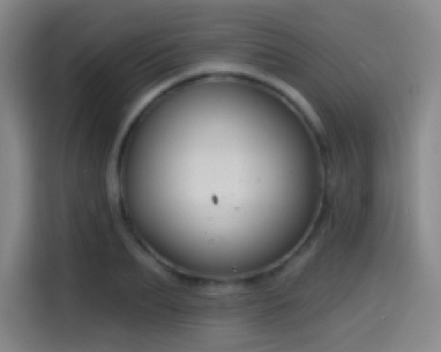 X0000114440887200910161353