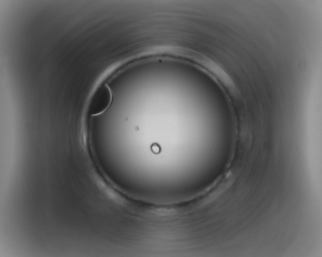 X0000114440888200910161353