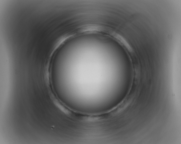 X0000114440890200910161353